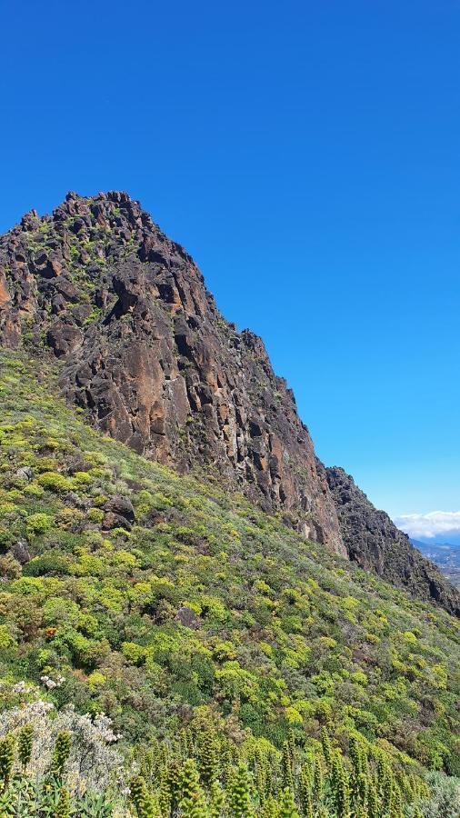Вілла Casa Cueva Paquito Веґа-де-Сан-Матео Екстер'єр фото